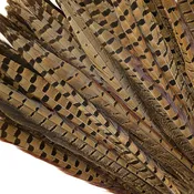 10 PC/PKG  RINGNECK PHEASANT TAILS 12-14" -  NATURAL