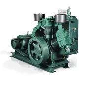 FS-Curtis - CW Series  Air Compressor