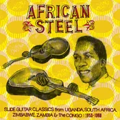 African Slide Guitar / Various - African Slide Guitar / Various [LP]