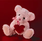 10" Lil Softies Plush- Bear