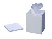 Cremation Child Plastic Temporary Container