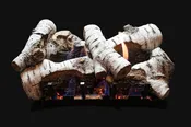 Birch Log Set - Fireside Hearth &amp; Stove