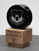 Black Crystal Award of Excellence AAELM45B