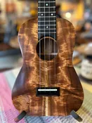 Plain Koa Concert Ukulele – Solid Koa, Low G