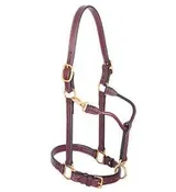 1" Leather Track Small Halter