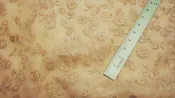 Champagne Silk Organza Embroidery