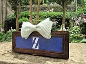 Green &amp; White Seersucker Bowtie