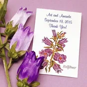 Canterbury Bell Seed Packet Favor