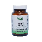 B-6 100 mg – 100 Veg Tabs