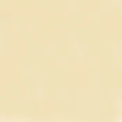 10oz Cotton Premium Duck Canvas – Natural