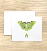 Luna Moth Greeting Card — Paper Wings