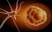Bioenergetic Supplement Test Kit