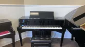 Kawai NV10s Grand Hybrid for Sale (used)