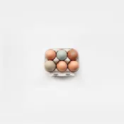 6 Organic Eggs