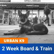 2 Week Board & Train – Urban K9