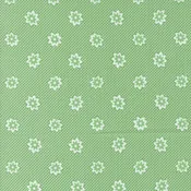 30’s Playtime 33752 17 Aloe