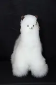 Alpaca