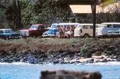 70's Acid Drop
