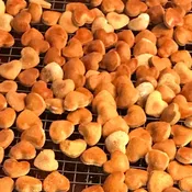 A Barker's Dozen Bits