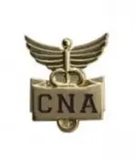 CNA Lapel Pin