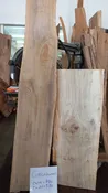Cottonwood
