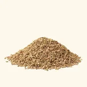 Ajwain Essential Oil / Ajowan Oil