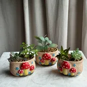 Succulent Dish - Ceramic Mushroom
