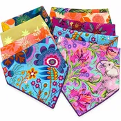 2 ways Bandana ASSORTED