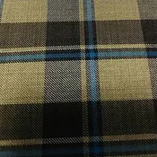Blue Check on Brown