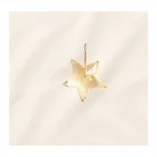CITRINE STAR