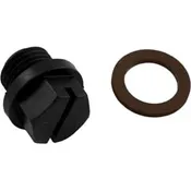 ¼" Pipe Plug & Gasket