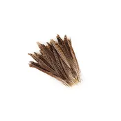 10 PC/PKG Female Ringneck Pheasant Tails  8-10" - Natural