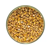 Acidulated Malt - Ireks