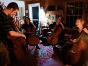Chamber Music coaching for established groups and individuals wishing to form groups. — New CelloLEAP