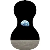 Forte3D® Cello - CUSTOM IMAGE on TOP AND OR BACK - design your own!