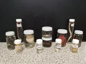 12 Specimen Jar Set Collection