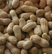 #1 FANCY PEANUT WITH SHELL