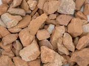 Desert Rose
