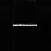 Bianca Bracelet