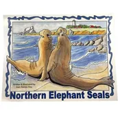 Book – Northern Elephant Seals Coloring Book