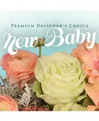 BEAUTIFUL NEW BABY FLOWERS