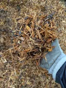 Certified Playground Chips