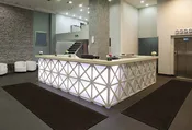 Plush Carpet Entrance Mats
