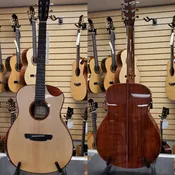Acoustic Electric Don Cortez JJ877 CEQ Cocobolo