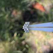 Athena Arch, White Gold + Genuine Diamond — CowPok