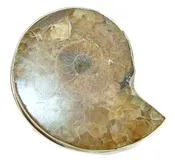 Ammonite .925 Sterling Silver handcrafted pendant