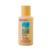 ArizonaSun® Shampoo