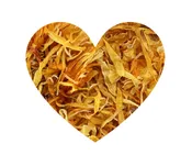 Calendula Flowers