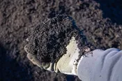 Cedar Grove Organic Compost