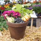 Fall Planter Workshop